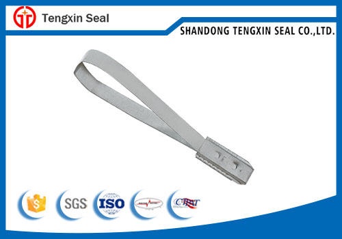 Flat Metal Strap Seal Security Metal Band Lock Truck and Cargo Seals