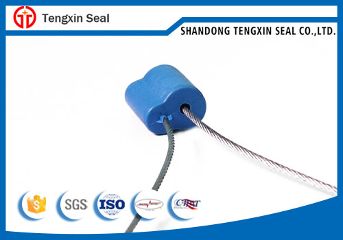 Single use pull wire container cable seal