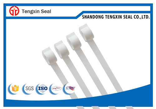 China hot popular high quality bank security plastic seal